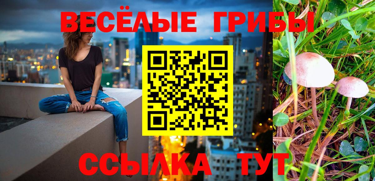 Галлюциногенные грибы мицелий  Псилоцибиновые грибы MAGIC MUSHROOMS  Вход с VPN  Севастополь 